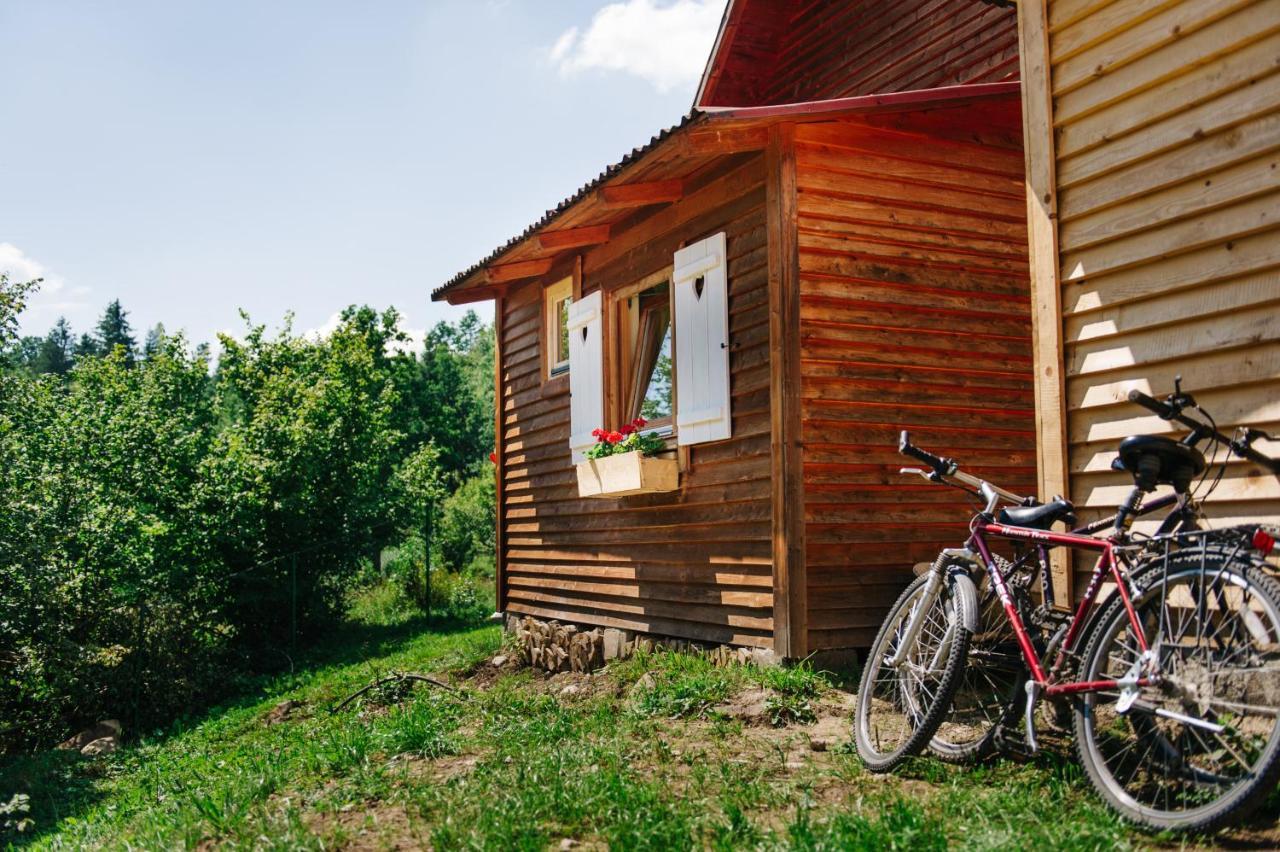 Homoród Lodge Băile Homorod Zewnętrze zdjęcie