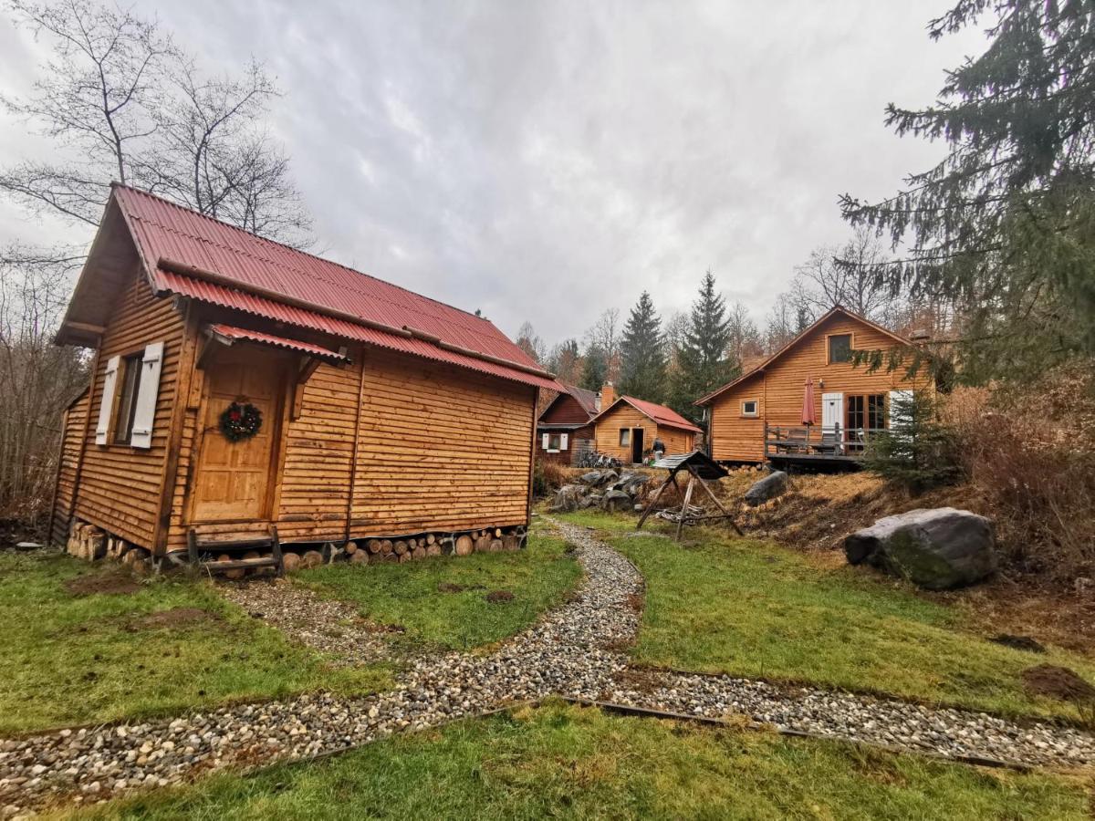 Homoród Lodge Băile Homorod Zewnętrze zdjęcie