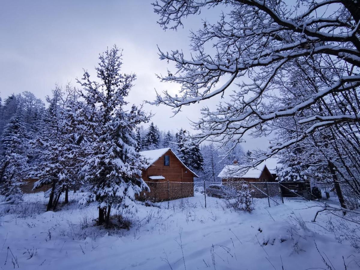 Homoród Lodge Băile Homorod Zewnętrze zdjęcie